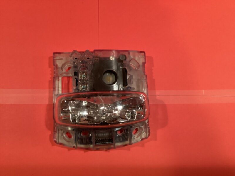 Simplex 49AV-APPLW-O - WITHE HORN STROBE WALL MT WEATHERPROOF